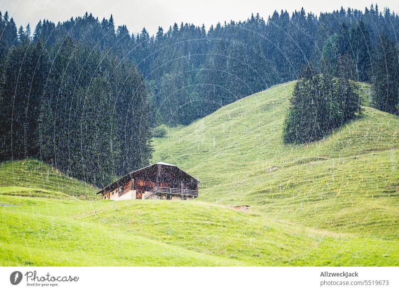 swiss alp with a chalet and forest in the background during heavy rain Switzerland Swiss Alps Alpine pasture Meadow Nature Green Juicy juicy green Valley Chalet