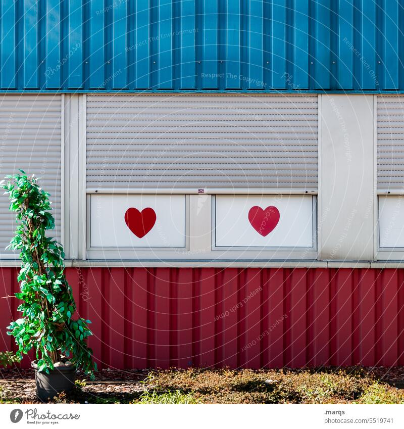 brothel House (Residential Structure) Facade Window Shutter Roller shutter Heart Heart-shaped Blue White Red Brothel love for sale Whorehouse Plant