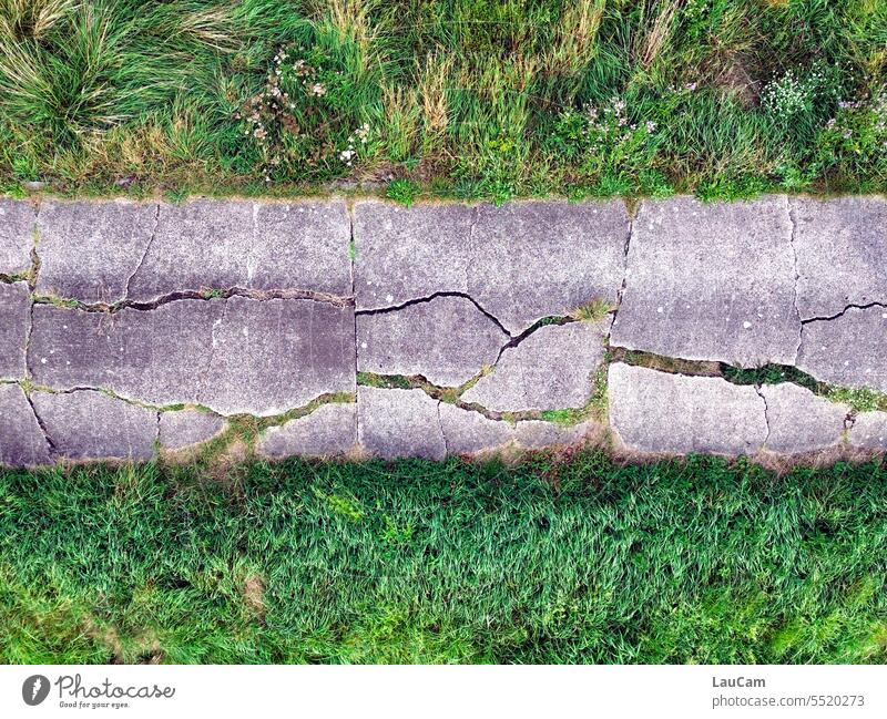 Cracks in asphalt Asphalt cracks Meadow Sign of old age Derelict Broken Transience Ravages of time Decline Nature change Abrasion worn-out Old brittle Change