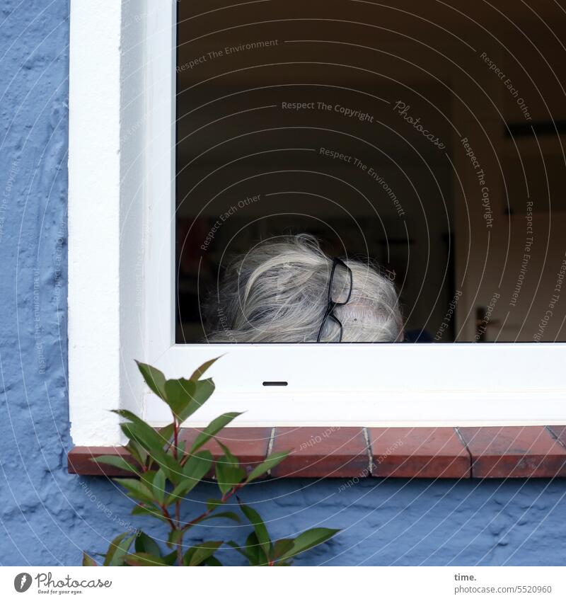 Midday nap at the open window Head Window Eyeglasses Gray-haired Wall (barrier) Plant Room door Window frame dwell Sleep recover Break tired hairy head
