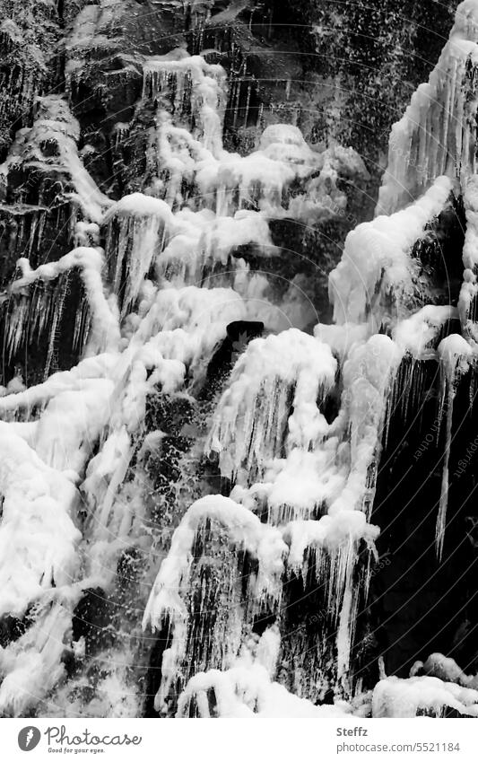frozen waterfall in Iceland Waterfall Frozen Fantastic shape chill Cold Freeze Frost East Iceland quick-frozen Icelandic iced Climate iceland trip Ice molds