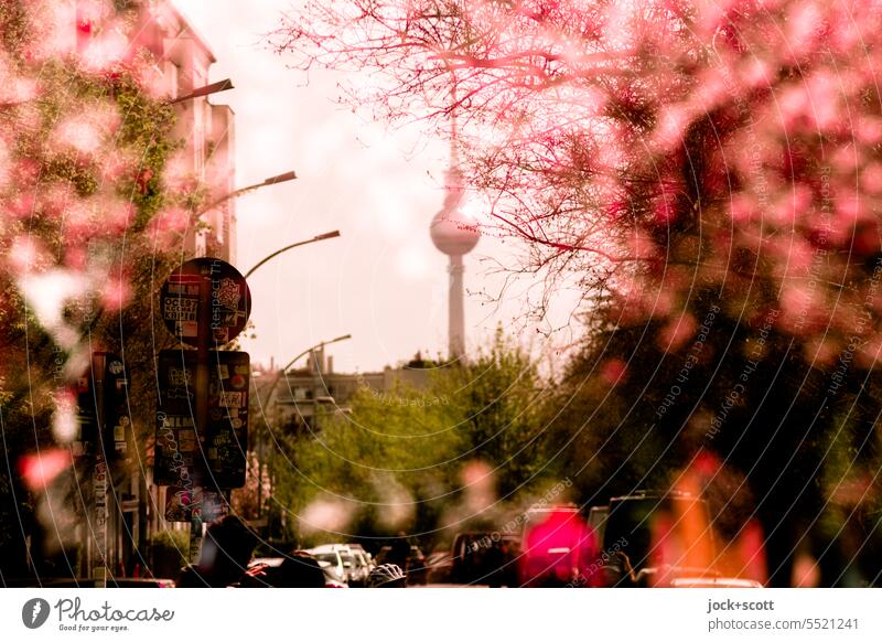In the intoxication of cherry blossoms with television tower Berlin TV Tower Cherry blossom Double exposure Landmark Prenzlauer Berg Silhouette Reaction bokeh