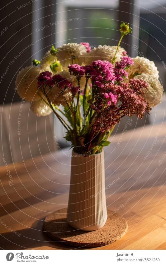 Bouquet in a vase Flower Blossom Blossoming Colour photo Nature Interior shot Day purple White Dahlia Decoration Dinner table Summer pretty Plant dwell