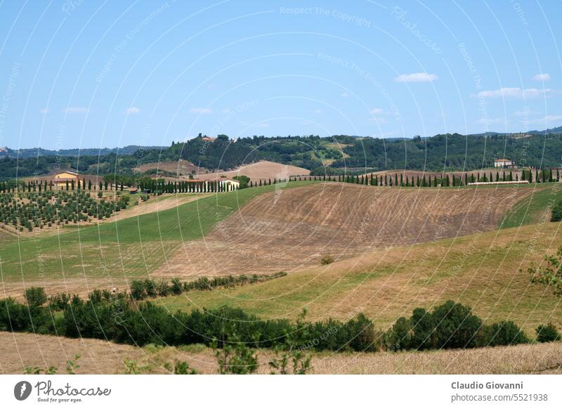 Country landscape near Volterra, Tuscany Europe Italy June Pisa agriculture bale color country day farm field hill nature olive photography rural summer travel