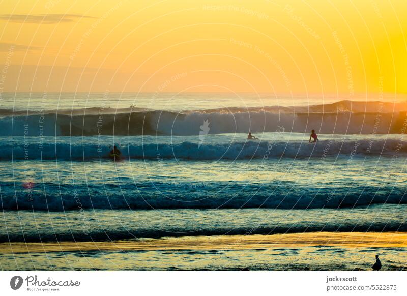 again and again | wave after wave Surf Ocean Waves Horizon Swell Nature Sunrise Surfer Surfing Aquatics Lifestyle Morning Sunlight Back-light Silhouette