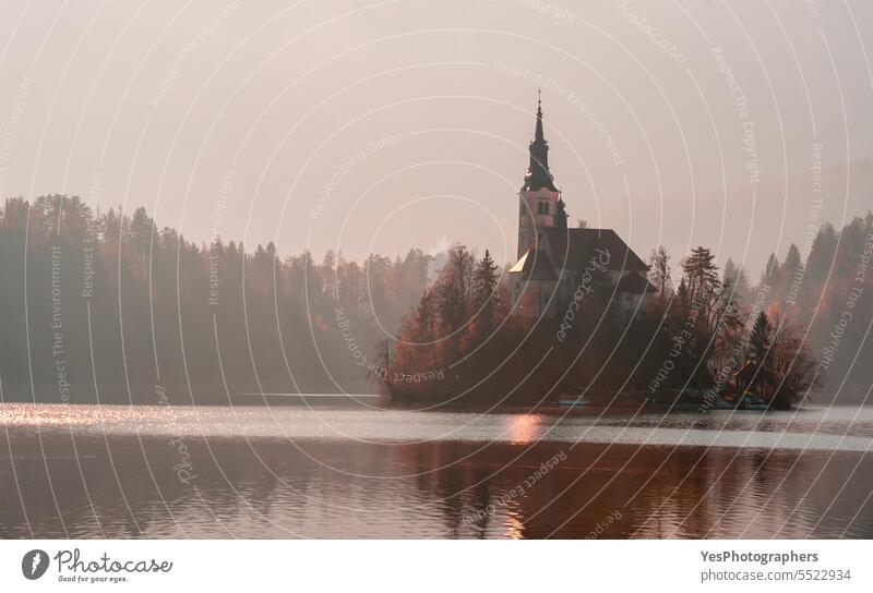 Lake Bled church landscape on a foggy morning day in winter alpine alps autumn beautiful bled bright building castle color december destination european forest