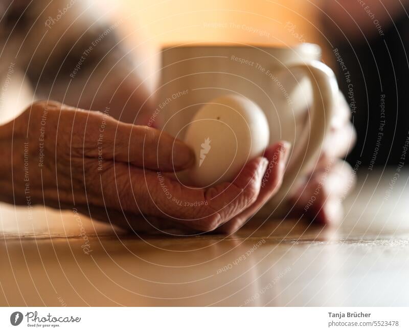 Old woman hand with egg and coffee cup old hands Women`s hand Hand aged old lady Old Hand Egg Egg hold wrinkled crease Coffee cup sit comfortably inside Cozy