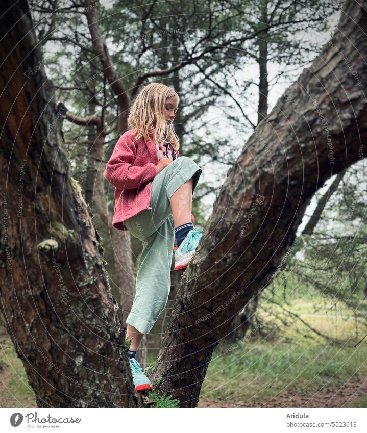 Child climbing a pine tree in the forest Forest Jawbone Climbing Nature Infancy Playing Movement Human being Girl Adventure Autumn Tree trunk granola
