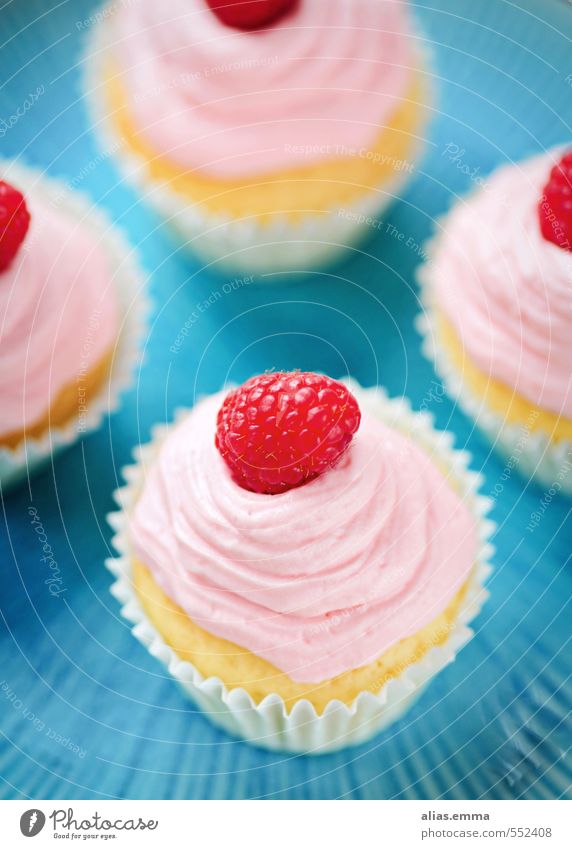 girls cupcakes Cupcake Muffin Baked goods Dish Food photograph Raspberry Pink Sweet Delicious Fruit Blue Fruity Cream Shallow depth of field 4 Decoration Icing