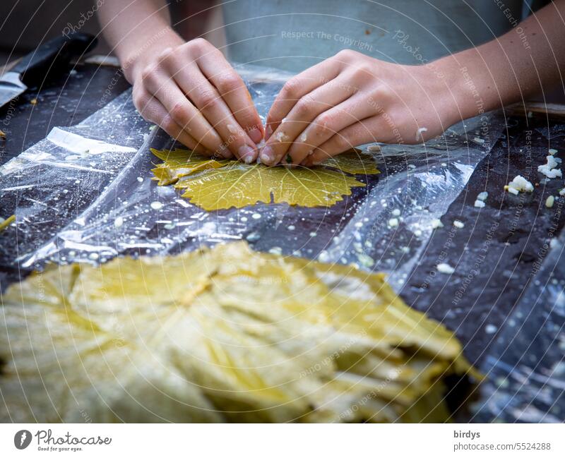 Young woman filling vine leaves with rice and spices stuffed vine leaves Speciality Eating preparation Women's Hands food preparation Balkans Balkan specialties