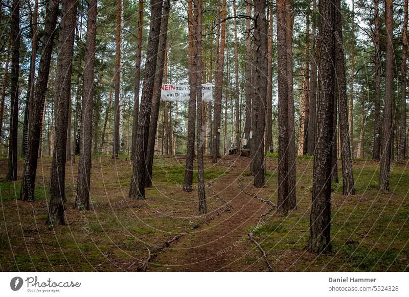 Pine forest with path marked with branches. Above you can see a protest poster against the clearing of the forest for conversion as an open-cast mining area. Ochsenberg in Saxony near Kamenz.