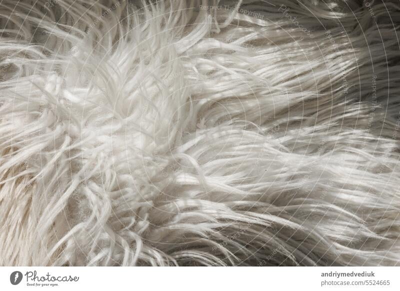 White Fur Texture Picture, Free Photograph