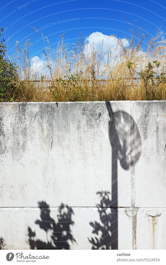 Light and shadow | Shadow of a glass globe light on a concrete wall Sun Lantern ball light Wall (building) Concrete grasses uncontrolled growth Weed Sky W8lken
