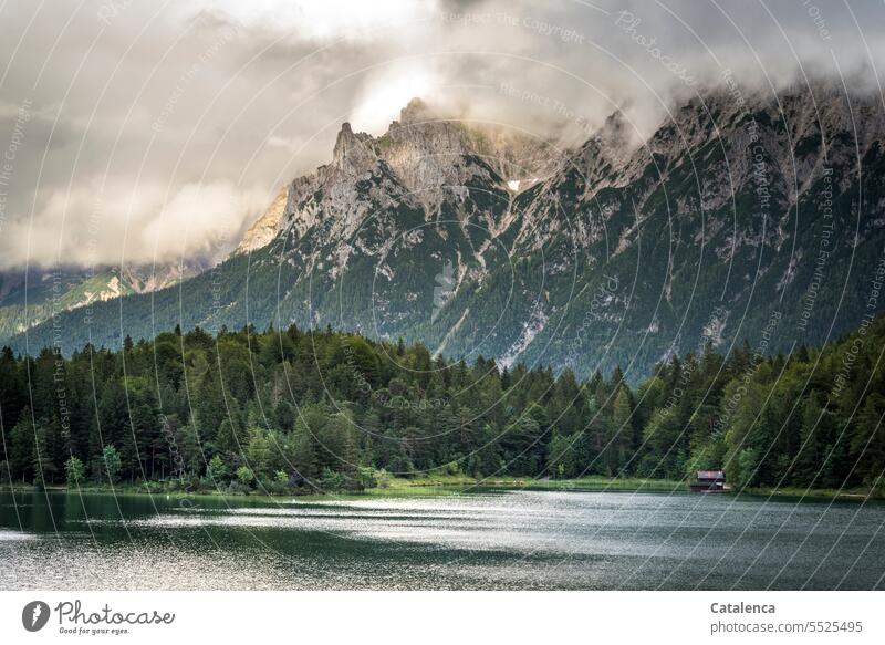 Morning at the mountain lake Mountain Alps Landscape Nature Idyll Calm Sky Relaxation Forest Spruce Hiking Lake Water Lakeside Light and shadow Green Gray Day