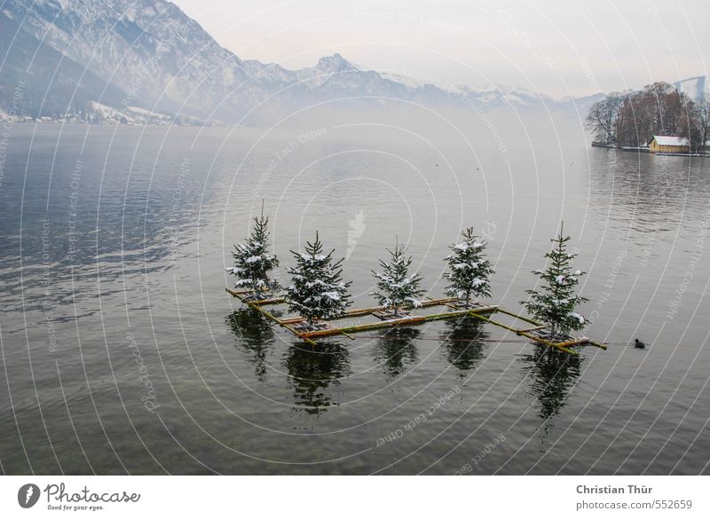 Christmas at Lake Traunsee Tourism Winter Winter vacation Nature Landscape Water Clouds Fog Snow Esthetic Exceptional Gray Green Black Moody Anticipation