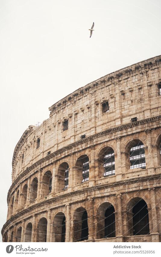 The Colosseum amphitheater in the center of the city of Rome colosseum rome sightseeing italy forum rome landmark history unesco old facade past ancient
