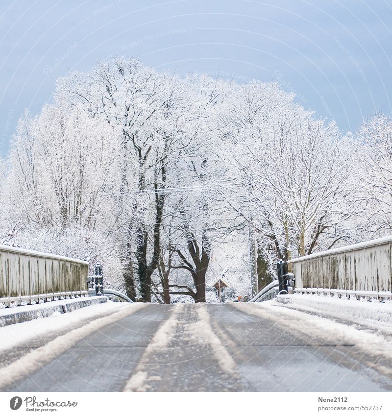 Weather | Fresh air Environment Nature Landscape Air Winter Beautiful weather Ice Frost Snow Cold Pavement Smoothness Bridge railing Tree Colour photo