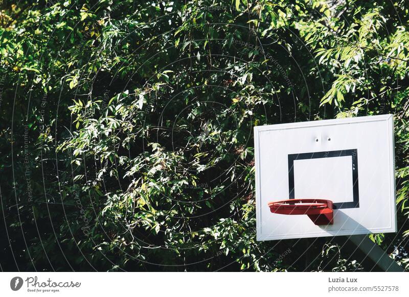 bright red baketball hoop without net, in front of lush greenery Basketball basket Red Colour Lifestyle Leisure and hobbies Playing Ball sports Sports Green
