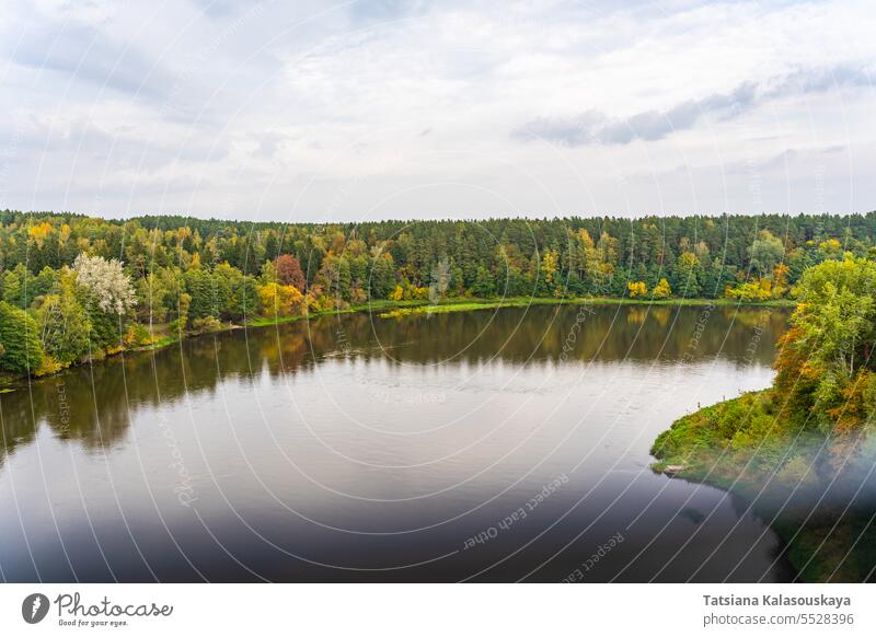 Autumn Scenery: Neman or Nemunas River from Bird's-Eye Perspective in Druskininkai, Lithuania river aerial view drone autumn fall foliage forest trees landscape