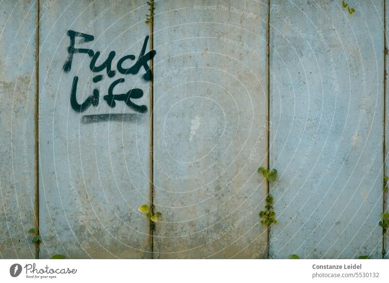 Graffiti 'Fuck life' on a concrete wall, interspersed with small, newly grown leaves. fuck Concrete wall Gray lettering Anger Aggression Characters Emotions