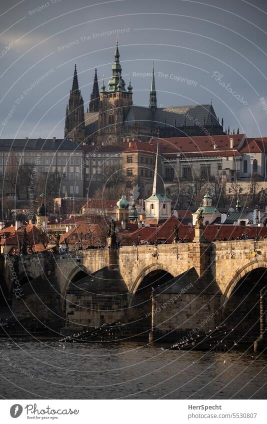Prague with Charles Bridge and Castle Hill The Moldau River Europe Czech Republic Town Vacation & Travel Exterior shot Old town Tourism urban City trip
