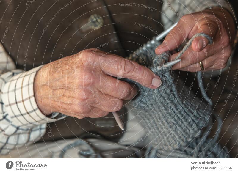 Old lady knitting socks Knit do needlework grandma annuity Handcrafts Stockings Human being Wool Colour photo Leisure and hobbies Soft Warmth Knitting needle