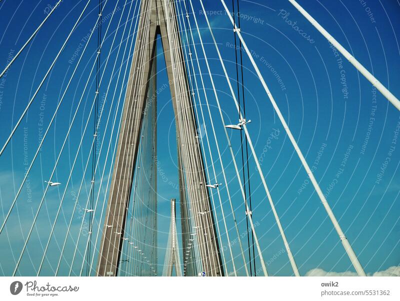 balancing act Bridge Suspension bridge Cable-stayed bridge Attachment Innovative Manmade structures Tall Large Exterior shot France Le Havre Normandie