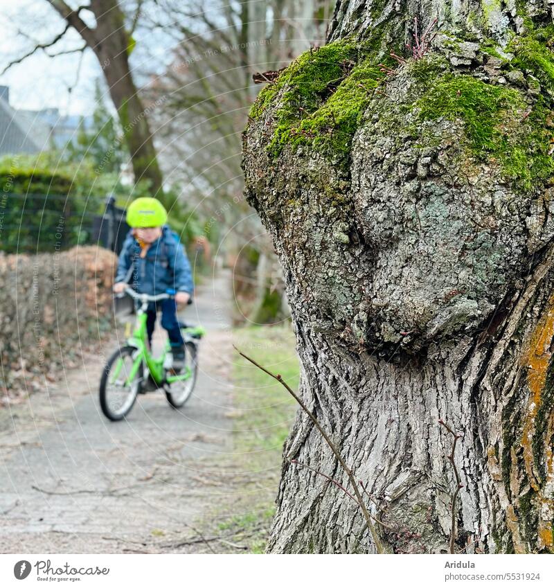 Child riding bicycle with bicycle helmet on the sidewalk, in the foreground is a mossy tree trunk Bicycle Helmet Cycling Bike helmet Safety way to school