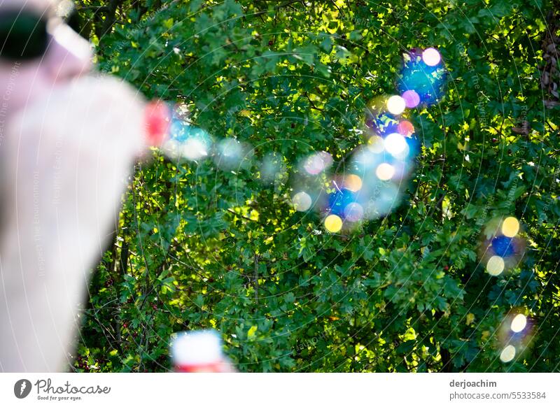 Soap -blowing in front of a green hedge. blow bubbles Playing soap bubbles Transparent Flying Summer Soap bubble Sphere Happy Multicoloured Glittering Round