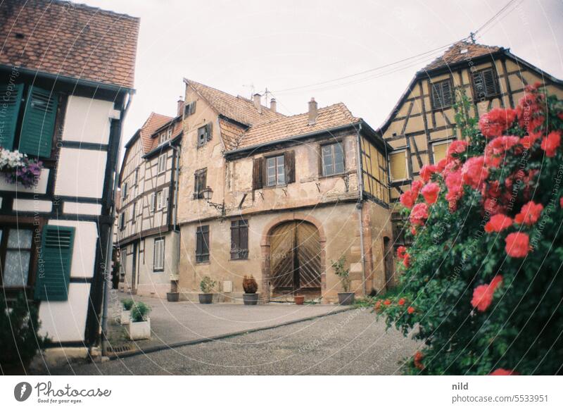 Alsace - Bouxwiller France Historic Calm Light Idyll Colour photo Exterior shot Moody Analogue photo Kodak Vacation & Travel Summer Old town medieval Alley