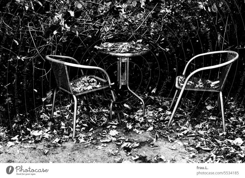 seating group Autumn leaves foliage Table Chair chairs Autumnal autumn mood Seasons Transience Garden Backyard Forget bushes Blackberry Old transient