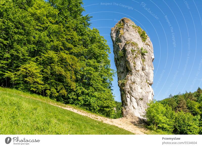 Rock "Hercules Mace" in Pieskowa Skala in Ojcow National Park (Poland) rock travel tourism poland nature national park ojcow national park malopolska day light