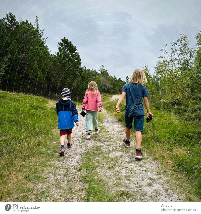 Again and again | off into nature! children Child Infancy Nature Forest To go for a walk Hiking Landscape Exterior shot Lanes & trails trees forest path Walking