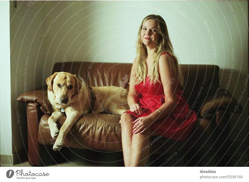 Blonde Labrador and beautiful blonde woman sitting on brown leather couch looking at camera - analog portrait tranquillity Self-confident Long-legged Legs