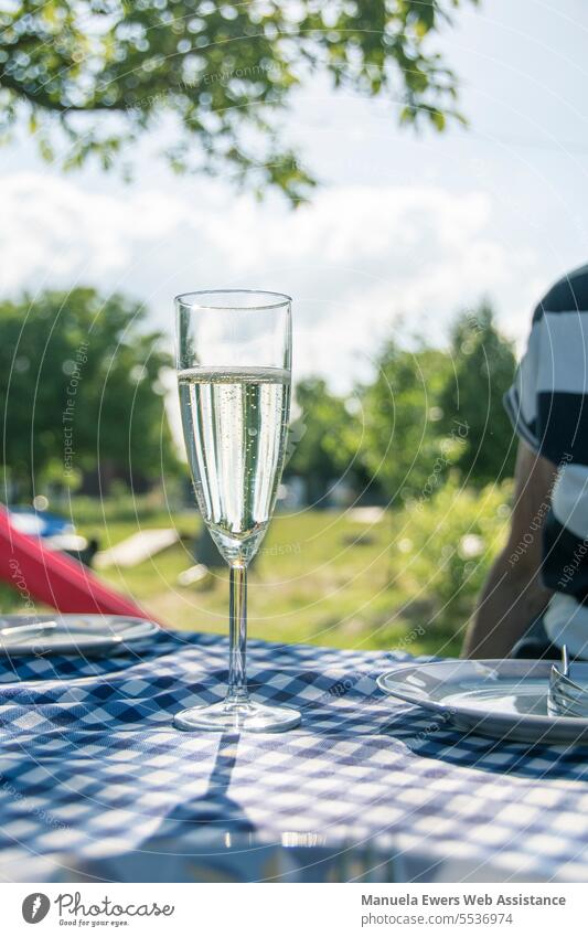 On a table with blue checkered tablecloth is a glass of champagne to celebrate the day. celebrations Celebration Sparkling wine champagne breakfast Picnic