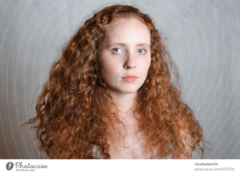 MP82 - Lion Beautiful Hair and hairstyles Face Healthy Senses Calm Feminine Young woman Youth (Young adults) 1 Human being 18 - 30 years Adults Red-haired