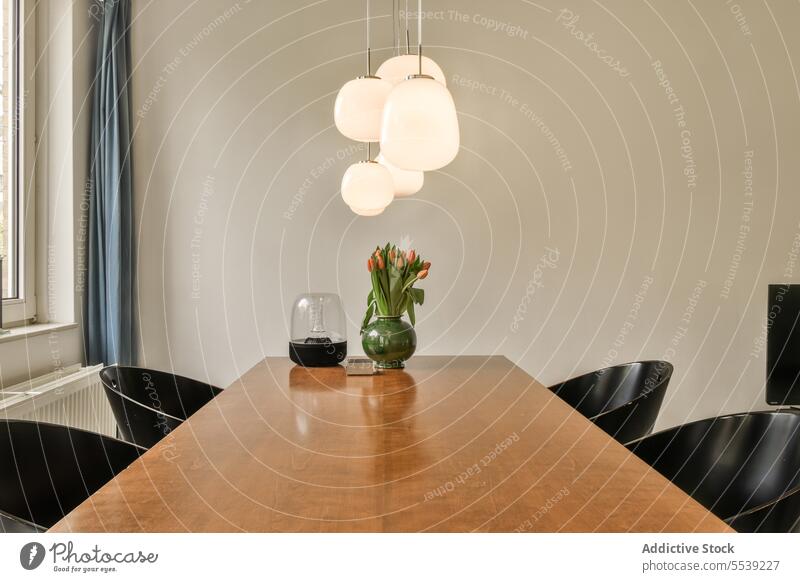 Pendant light over dining table in front of wall at home pendant illuminated hanging interior modern apartment vase flower tulip plant decor design shape chair