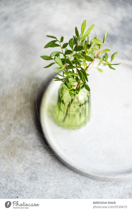 Table decoration with fresh pistachio plant plate serve tableware dinnerware arrangement utensil ceramic occasion creative kitchenware material tool flora art