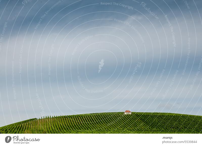 Winegrower's house Kaiserstuhl Idyll Hut Hill Vineyard Beautiful weather Summer Sky Landscape Nature Agriculture Rural Wine growing