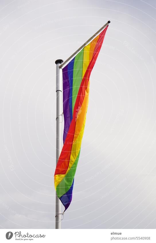 Rainbow flag on a pole Prismatic colors rainbow flag Flagpole flagpole symbol Blow LGBT LGBTIQ LGBTIQ scene Pride Tolerant variety open-mindedness variegated