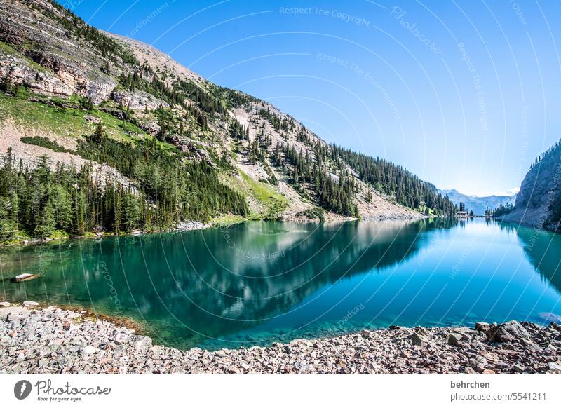 blue Reflection reflection Water Lake Agnes Peaceful Lonely silent Loneliness Sky Trip Banff National Park mountain lake stones Rock glacial lake Impressive