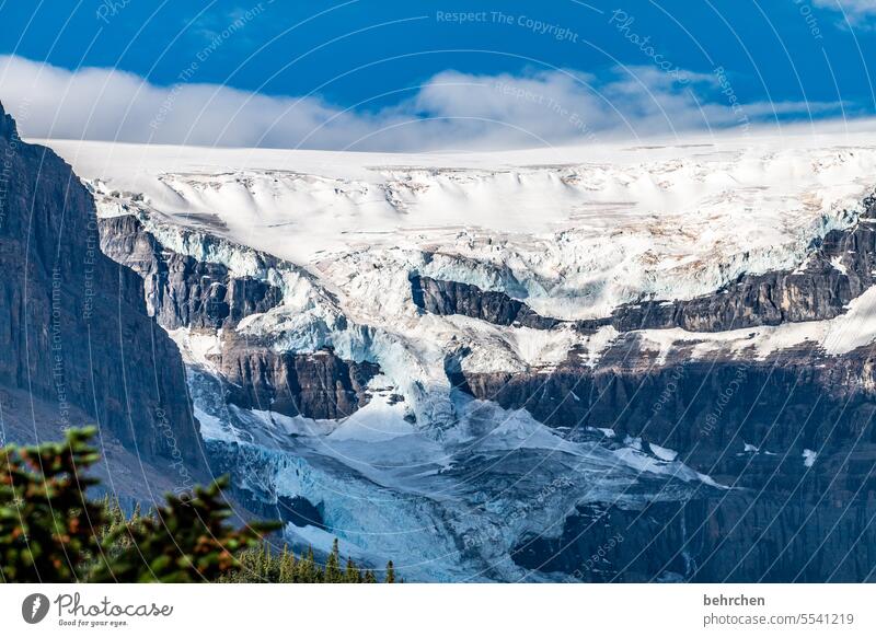 Snow and ice chill Climate protection Climate change Ice Cold Impressive Environment Environmental protection Banff National Park Icefield parkway Glacier