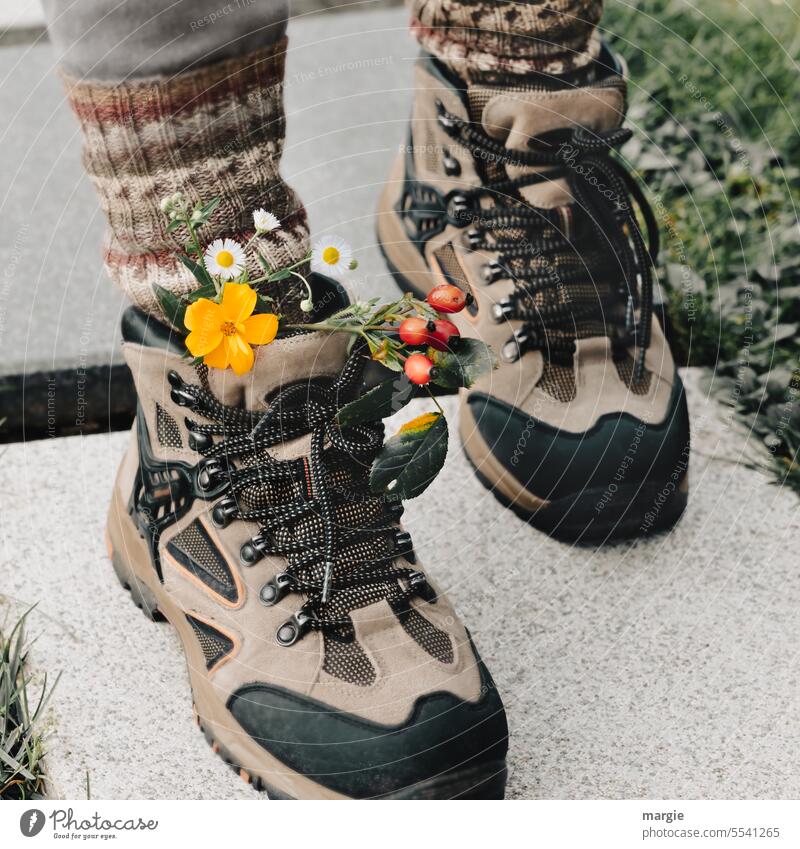 autumn hike Autumn Autumnal Hiking boots flowers Rose hip knitted socks shoelaces Bouquet ornament Stockings Lanes & trails To go for a walk Environment Nature