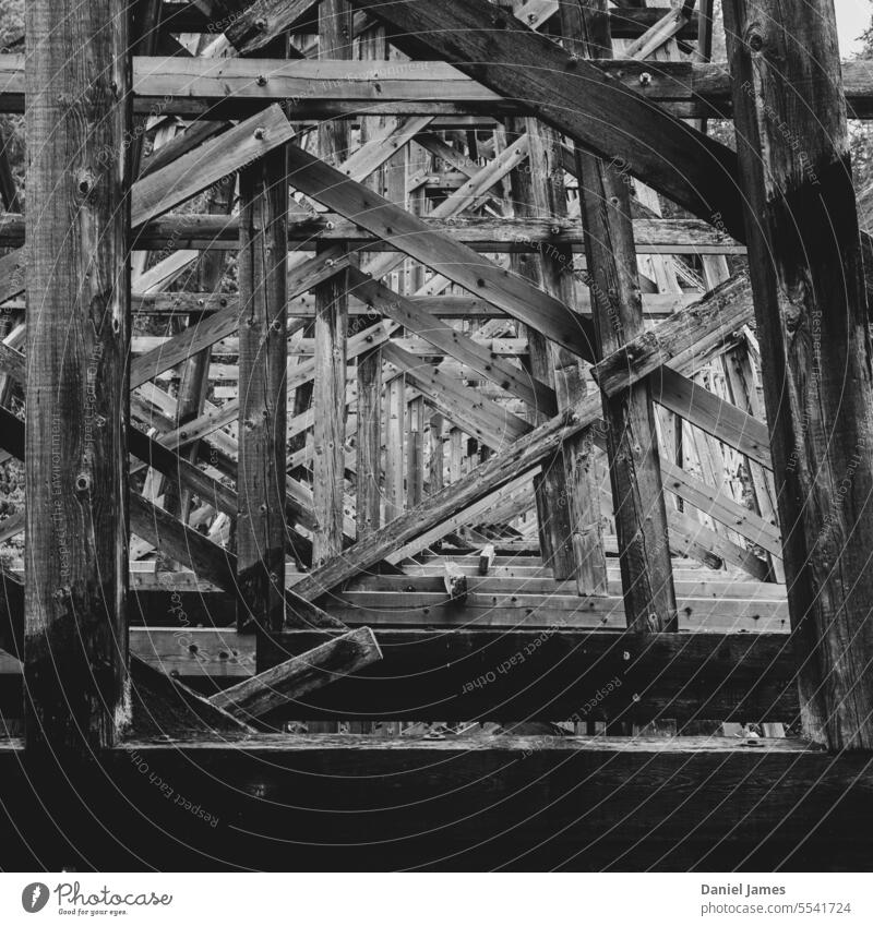 Perspective through an old timber trestle bridge Timber Bridge Structures and shapes Old Historic Black & white photo Architecture engineering construction