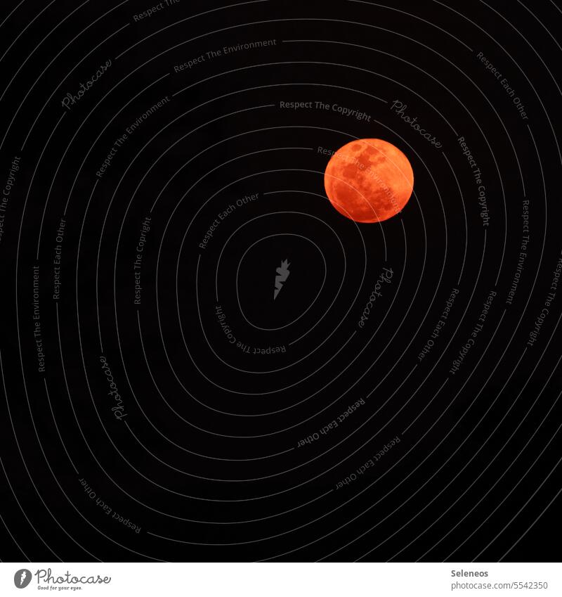 Bloody moon Moon blood moon Night clear Full  moon Sky Nature Exterior shot Colour photo Red Dark Night sky Deserted Moonlight Moody Light (Natural Phenomenon)