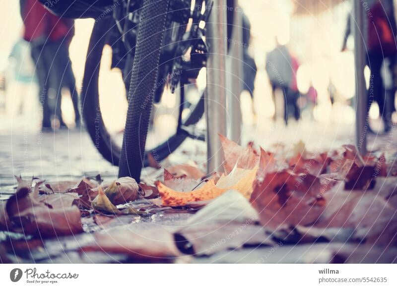 Autumn in the city autumn leaves people Bicycle urban City life autumn impression Autumnal Autumn leaves autumn mood foliage Pedestrian precinct Passers-by hazy