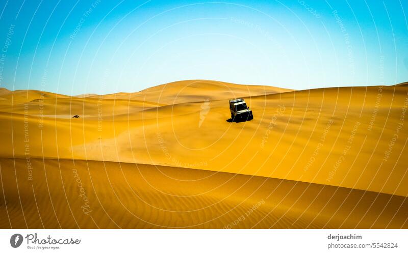 Exciting ride through the desert. desert sand Landscape Exterior shot Summer Colour photo duene Desert Nature Sunlight desert landscape Sand Deserted sandy