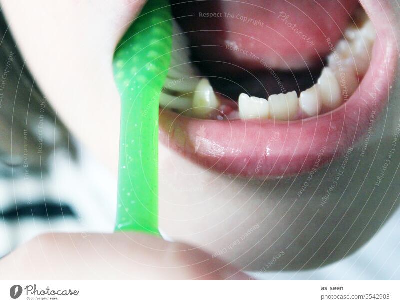brush one's teeth Teeth Toothbrush Milk teeth Child 6 to 7 years 8 - 13 years Green Boy (child) Girl Dentist hygiene Colour photo Infancy Dentistry Foresight