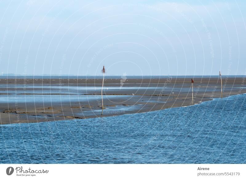 East Frisian Slalom Horizon Water Ocean Loneliness Sand coast Far-off places Long shot Blue Sky wide North Sea coast Tide Mud flats Low tide Elements far
