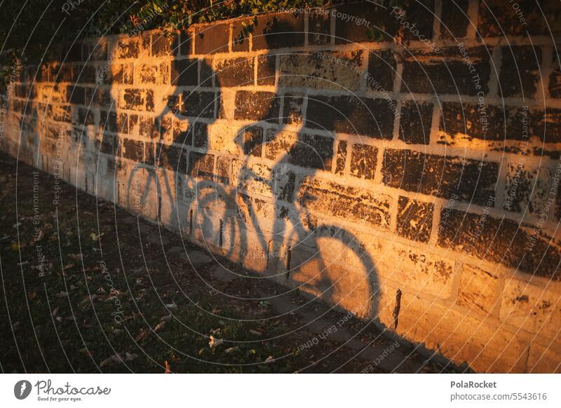 #A0# Bike tour Bicycle Cycling Cycling tour Cycle path cyclist bicycles Shadow shadow cast out be out Athletic activity Nature Leisure and hobbies Movement